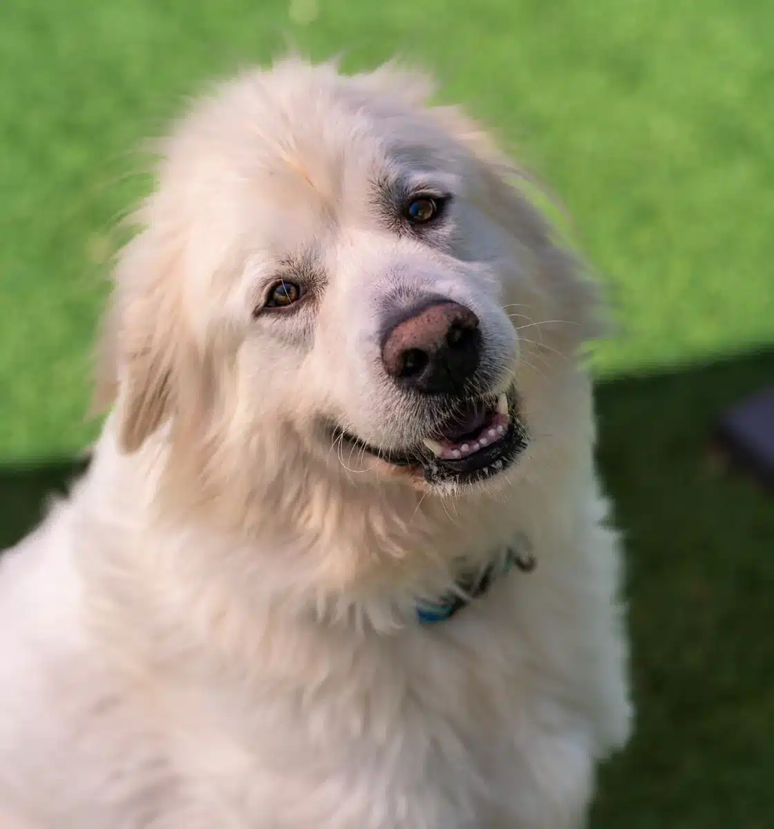 Driven by service, grounded in sustainability